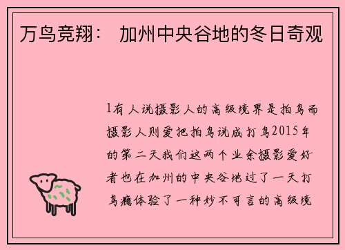万鸟竞翔： 加州中央谷地的冬日奇观